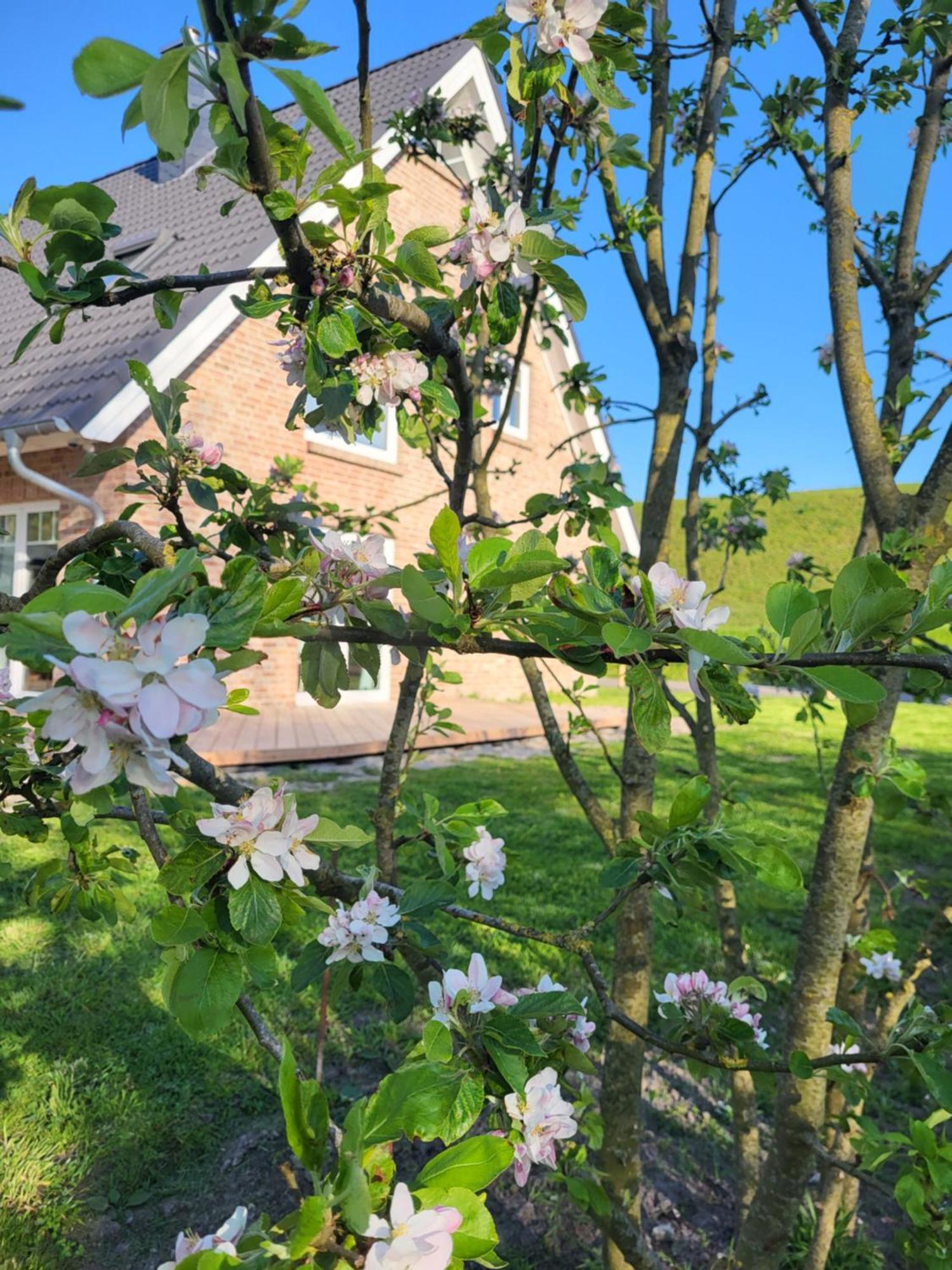 Ferienwohnung Friesenperle Tönning Exterior foto